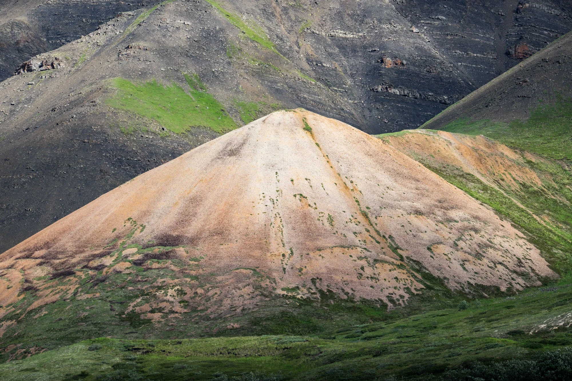 Denali National Park — The Greatest American Road Trip